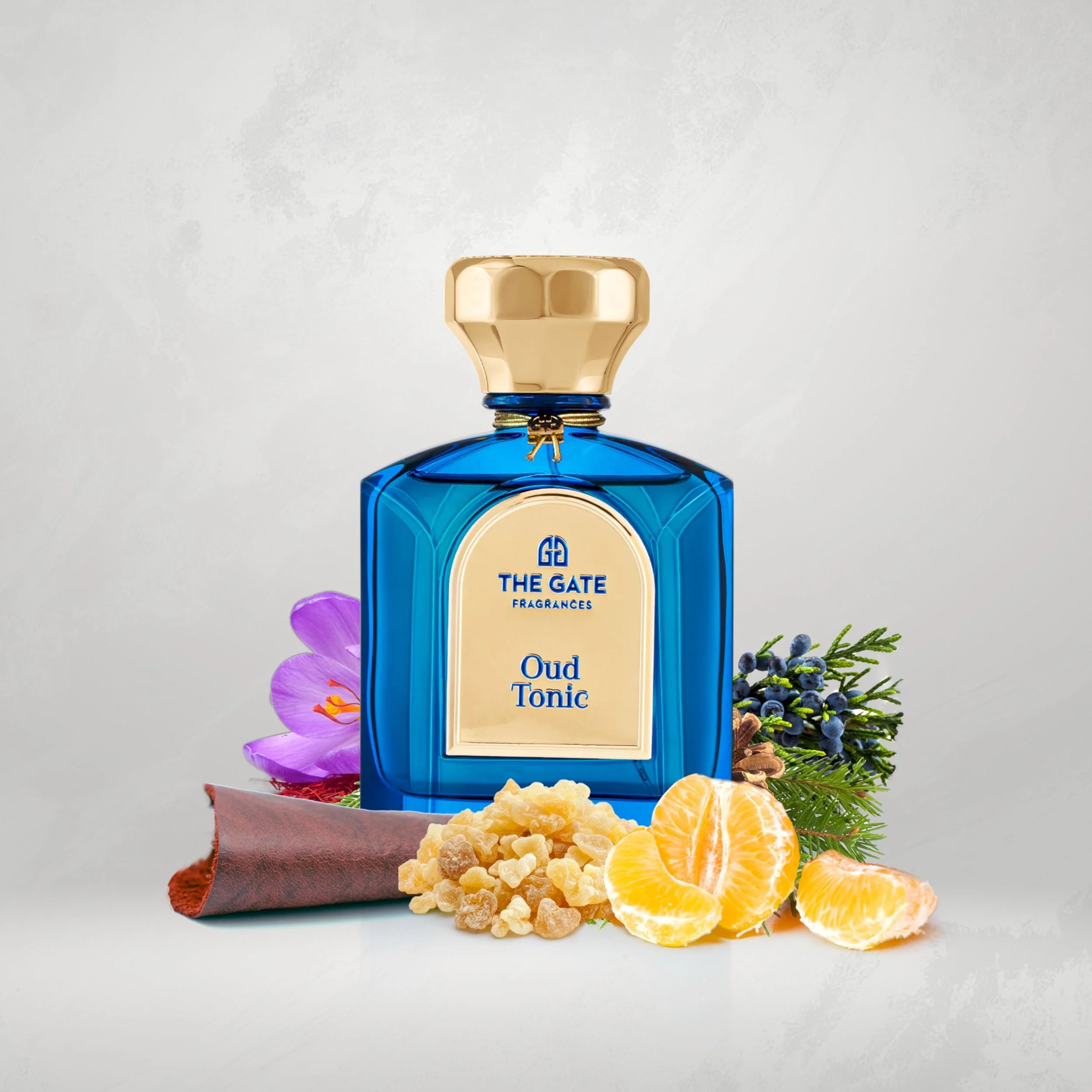 Oud Tonic The Gate Fragrances Extrait de Parfum 100ml
