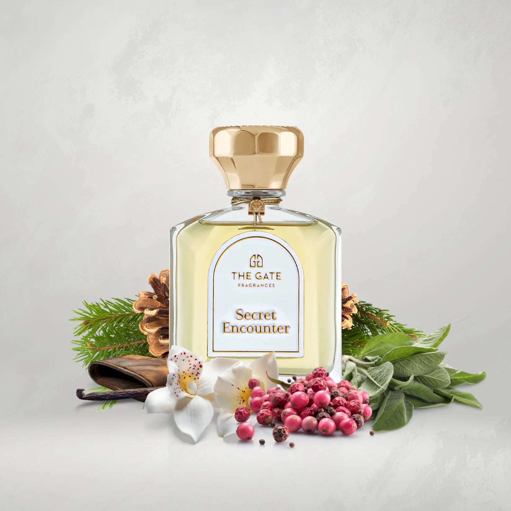 Secret Encounter The Gate Fragrances Extrait de Parfum 100ml