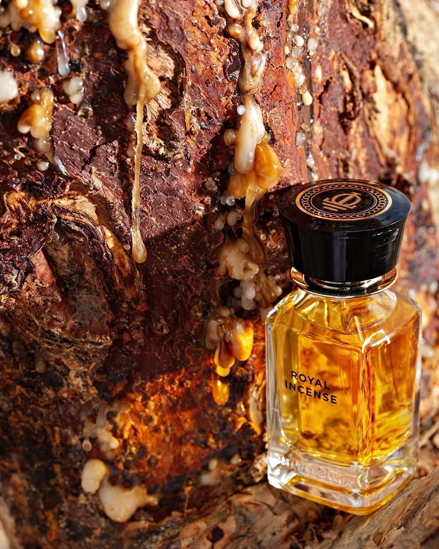 Omanluxury Royal Incense Eau de Parfum